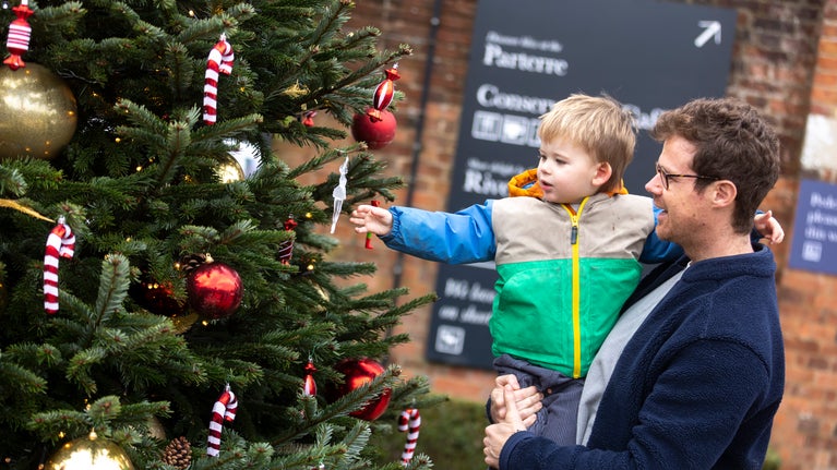 Visitors admiring the Christmas tree in the Walled Garden